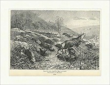 Szene bei einem eingestellten Jagen auf Sauen Zaun Hirsch Wild Holzstich A 1594