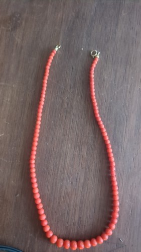 Madagaskar korallenkette - madagaskar,