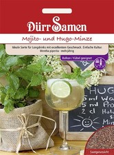 Mojito- und Hugo-Minze