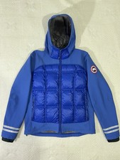 Canada goose hybridge - canada,