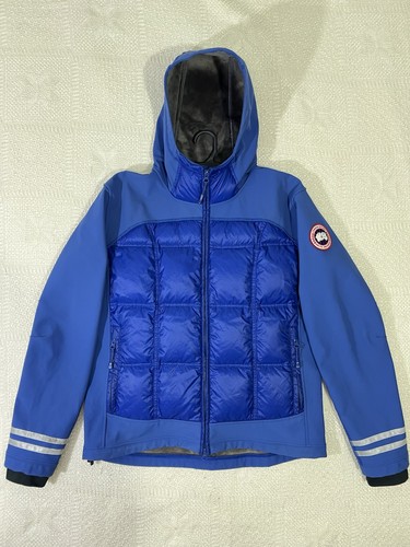 Canada goose hybridge - canada,