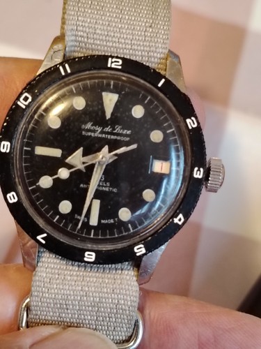 Diver vintage mosy luxe - de,