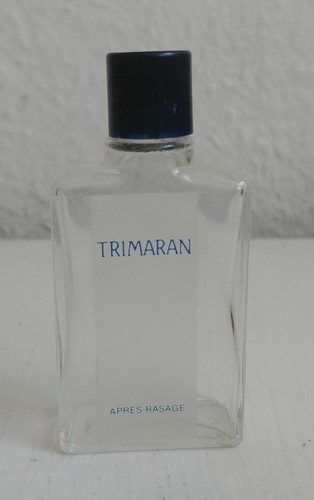 Trimaran von yves - rocher,