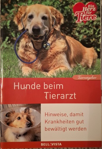 Hunde beim tierarzt - hunde,