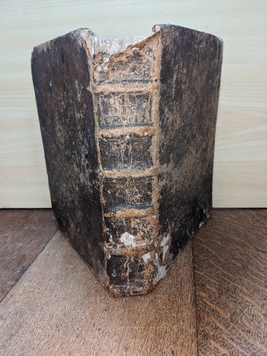 Altes buch tagebuch der - altes,