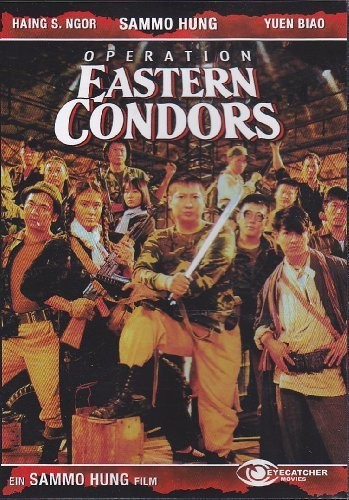 Operation eastern condors - operation,