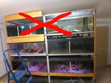 Aqarium zuchtanlage - aqarium,