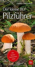 Der kleine BLV Pilzführer