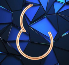 I OHRRINGE CLICKER 8 mm I Echt