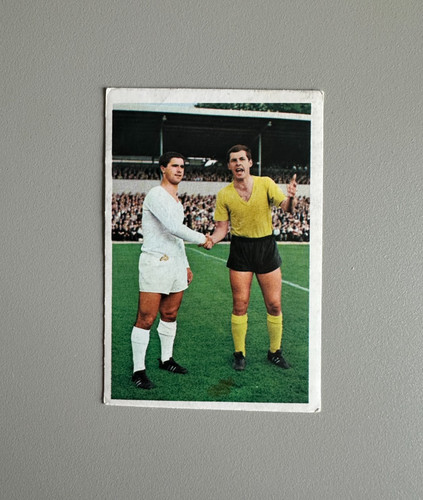 Bergmann bild gerd - bergmann,