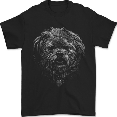Realistische shih tzu - tzu, hund