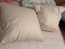 Kissen Federn Daunen 80x80