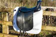 Albion Genesis Dressursattel