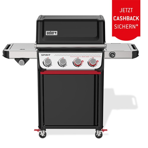 Weber gasgrill spirit - weber,