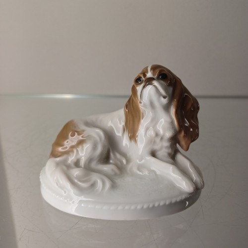 Rosenthal hund pekingese entw - hund,