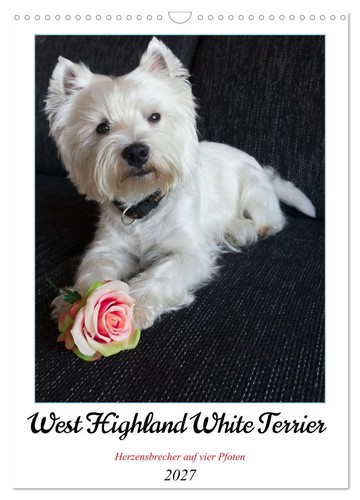 West highland white terrier - west,