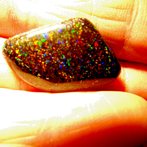 Australischer solid fairy - australischer, ,