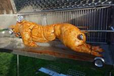Spanferkelgrill Mieten - Spanferkel Grill , Hähnchen ,Lamm GRILL. Achtung MIETEN