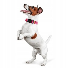 Hundehalsband Bunt Streifen