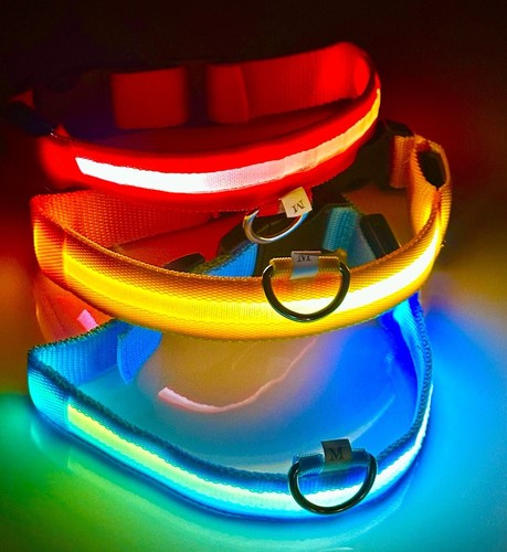 Led hundehalsband 46 - led, gr.
