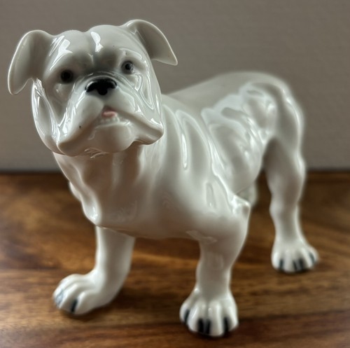 Galluba hofmann bulldogge - hofmann,