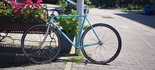 Olmo sanremo singlespeed - olmo,