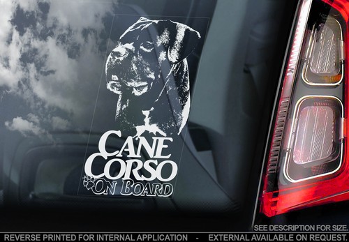 Cane corso auto - auto, fenster