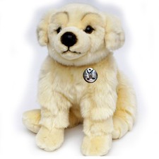 Golden Retriever SAMSON