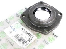 Wellendichttring Antriebswelle