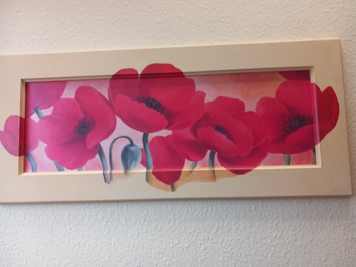 Bild mohn - bild,