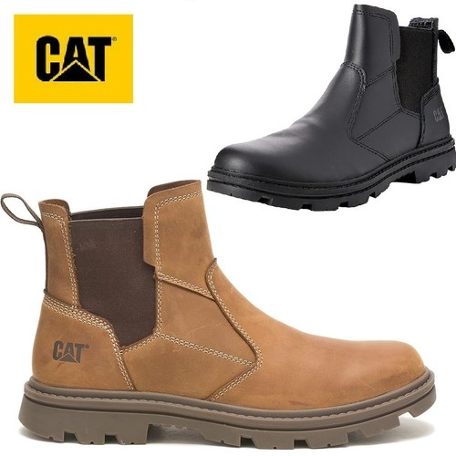 Cat herren practitioner - cat,