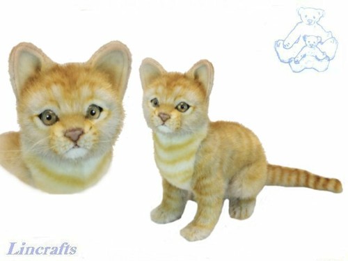 Hansa sitzende ingwerkatze - hansa,