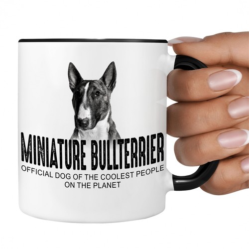 Miniature bullterrier mini - miniature,
