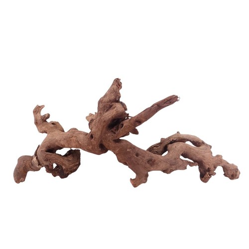 Driftwood flußwurzel - xl,