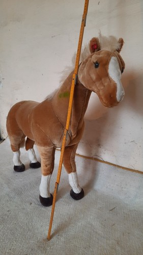 Reitpferd kinder 70cm - ca,
