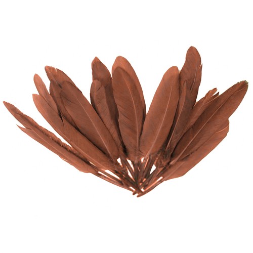 Entenfedern 14 cm - 20,