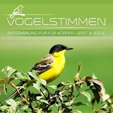 Vogelstimmen entspannung - vogelstimmen,