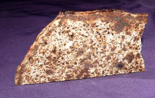 Stein-Meteorit NWA 118