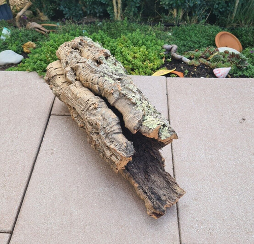 Zierkorkrinde 41x15x17cm - ,