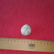 TOP 1AAA ZUSTAND SEEIGEL 41