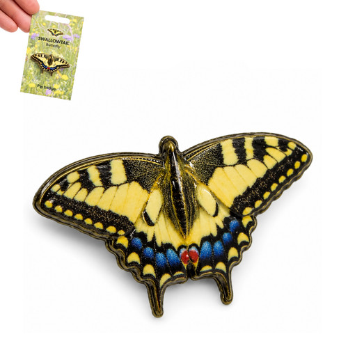 Schwalbenschwanz schmetterling - schwalbenschwanz,