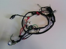 Pegasus S50 GP 4T Kabelbaum #0079