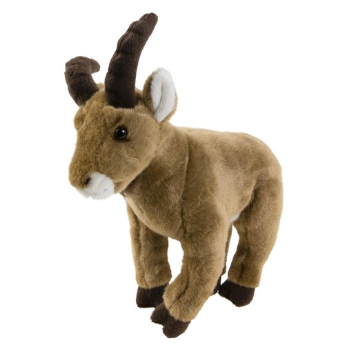 Steinbock ziegenbock - steinbock,
