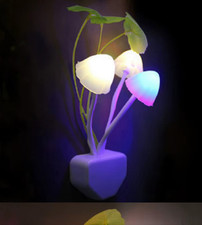 Pilz Nachtlicht EU-Stecker