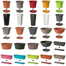 Blumentöpfe mit Untersetzer