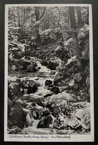 Luftkurort stecklenberg harz - luftkurort,
