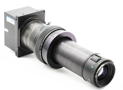 Teledyne dalsa - teledyne,
