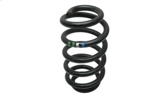 Suspension Spring Front Audi