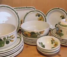 Thomas Scandic Flowers Kuchenteller Suppenteller Essteller Teile zur Auswahl