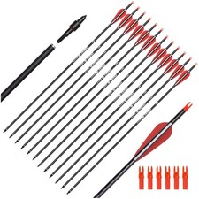 Pfeile Carbon 30 Zoll